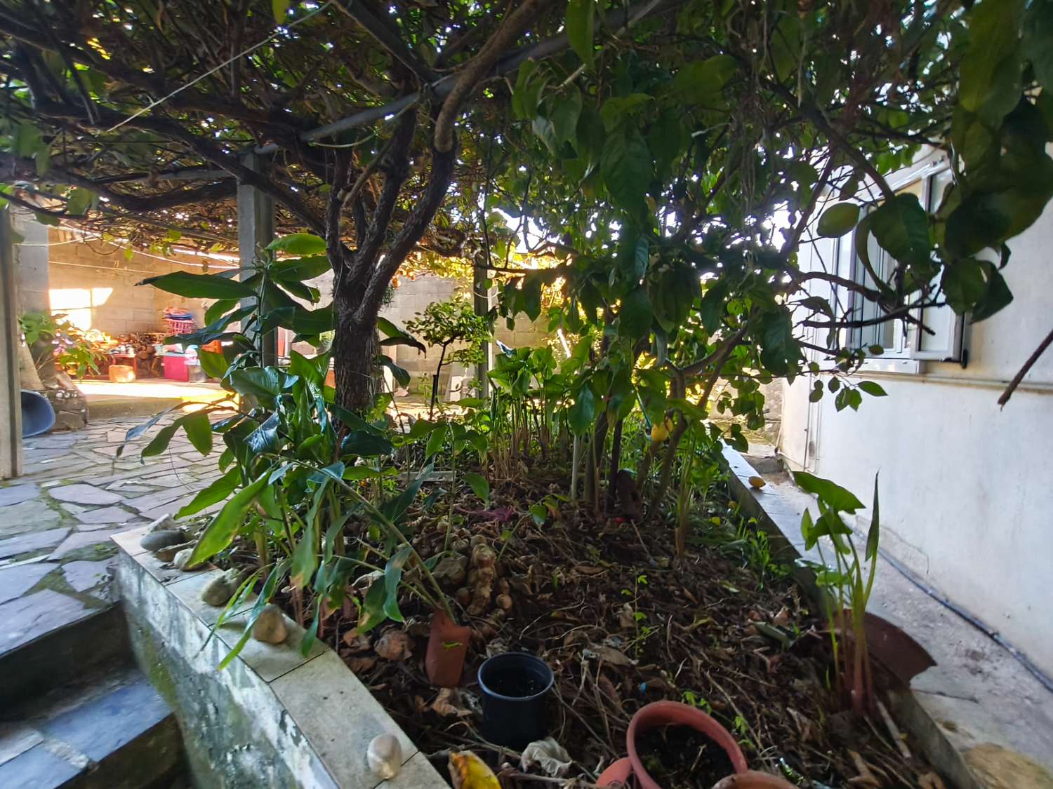 Casa en venta en Ortigueira.