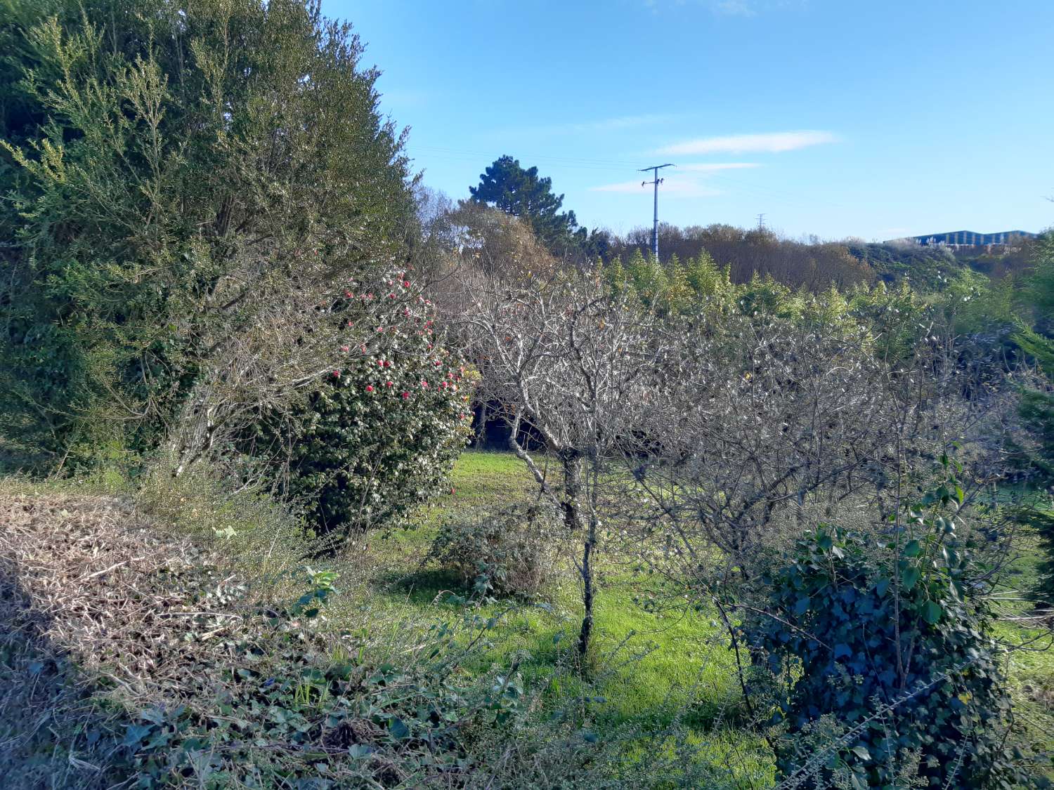 Casa in vendita a Pontedeume