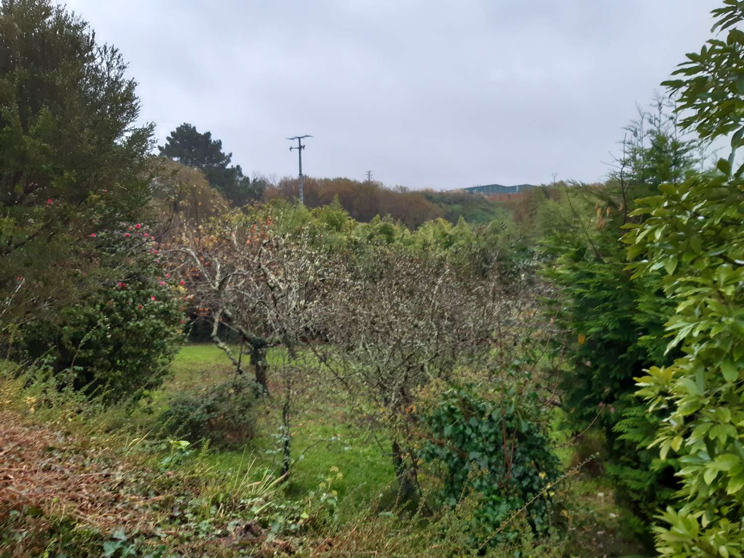 Maison en vente à Pontedeume