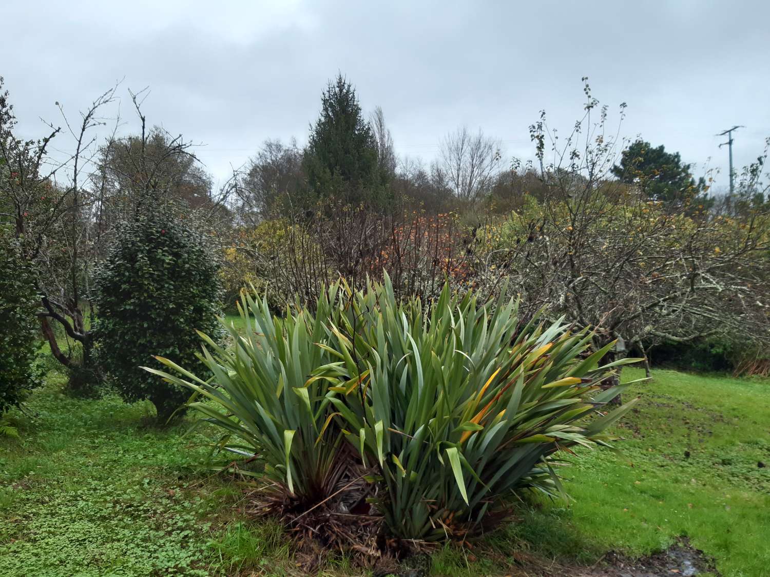 Maison en vente à Pontedeume