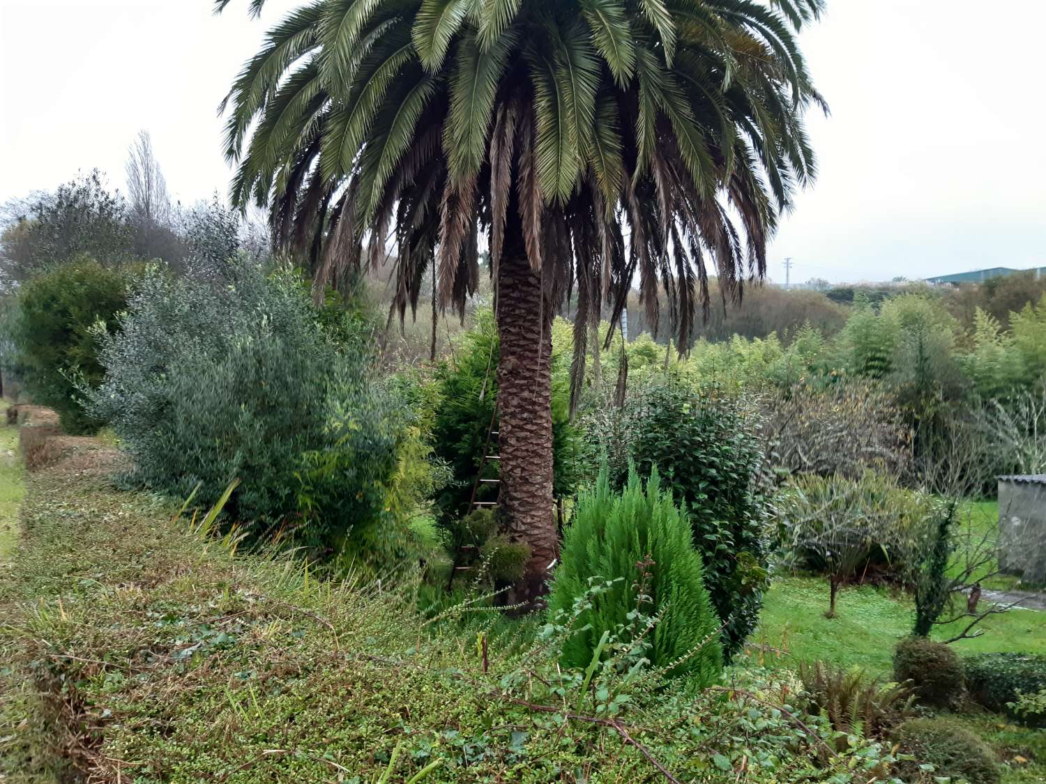 Maison en vente à Pontedeume