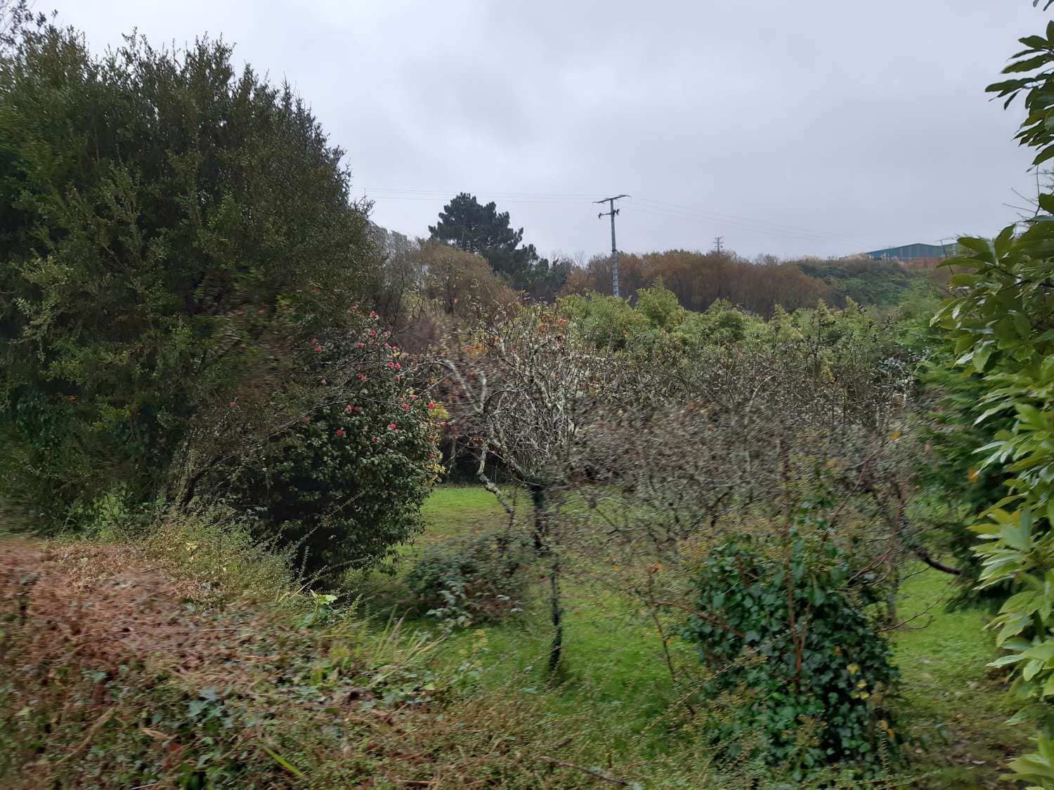 Maison en vente à Pontedeume