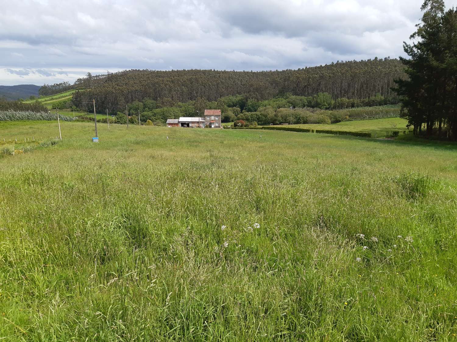 En venta gran casa y gran finca en Cerdido, La Coruña