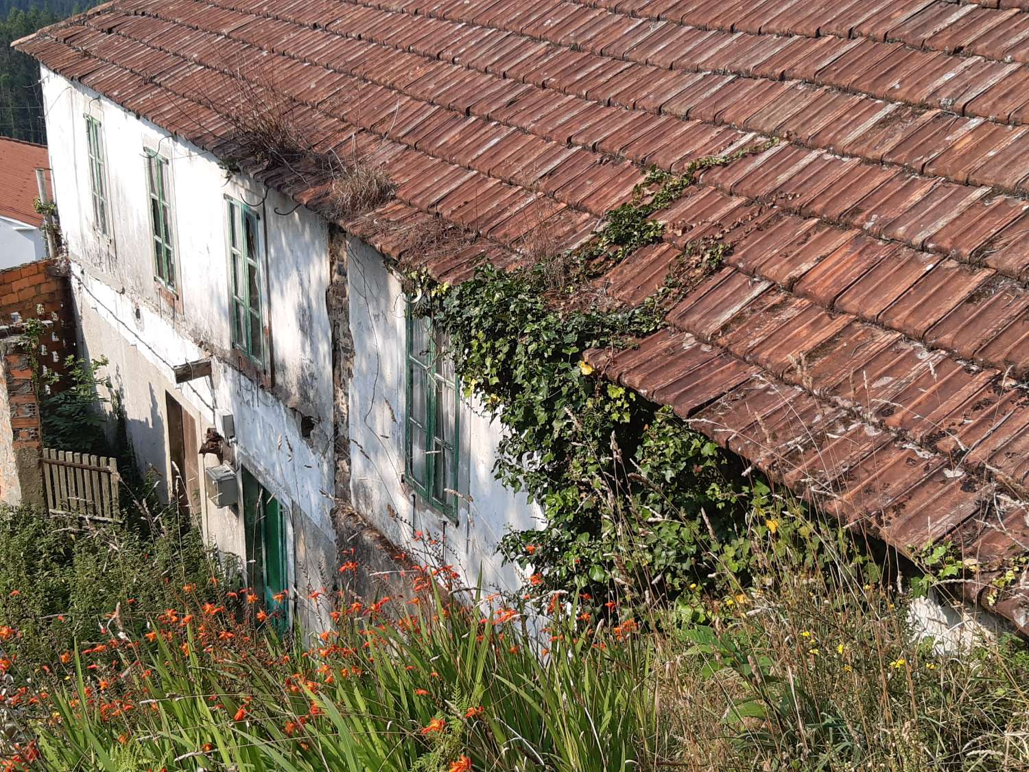 Casa de campo para rehabilitar.