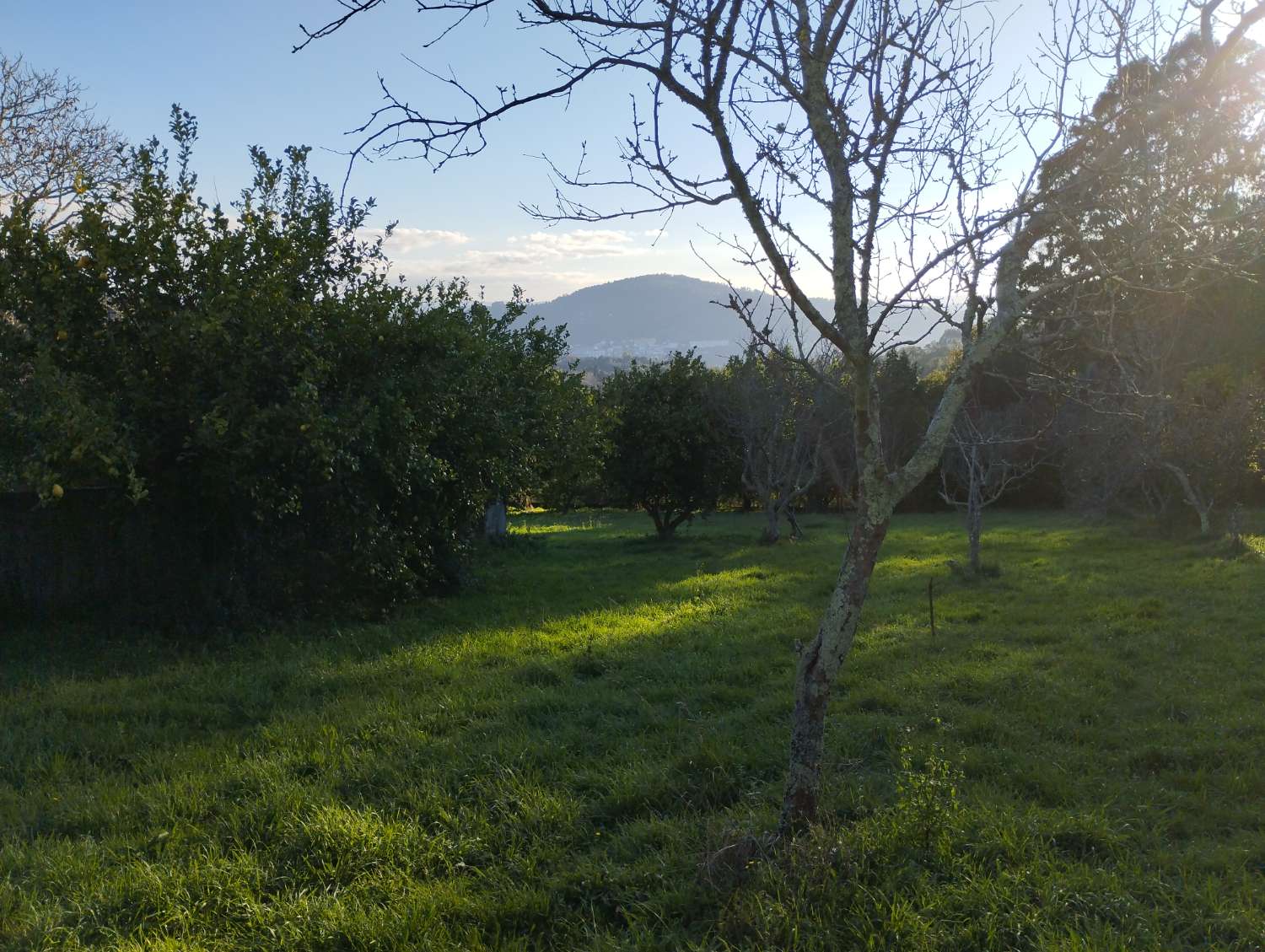 En venta gran finca urbana en Laraxe, Cabañas.
