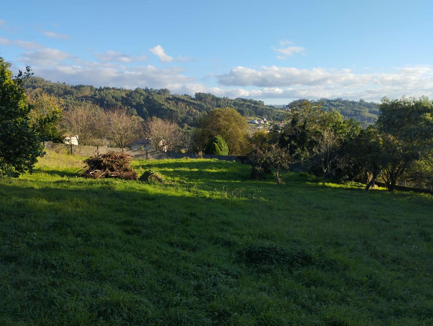 En venta gran finca urbana en Laraxe, Cabañas.