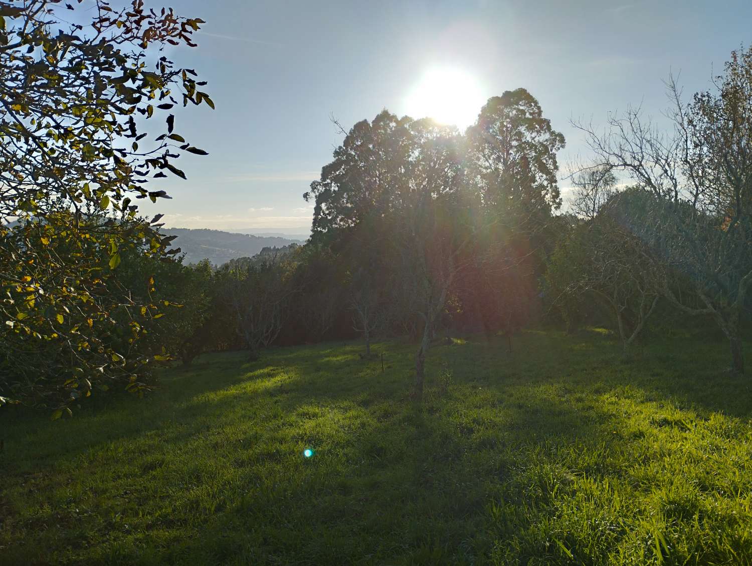 En venta gran finca urbana en Laraxe, Cabañas.