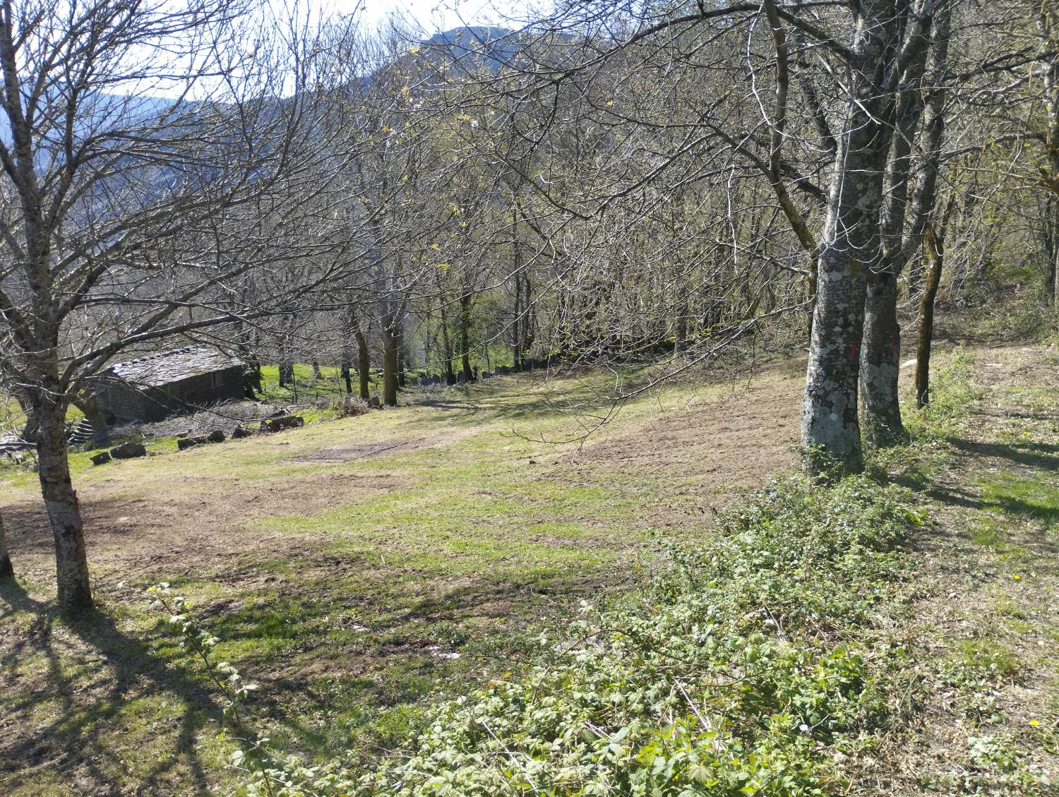 En venta Gran gran casa con finca