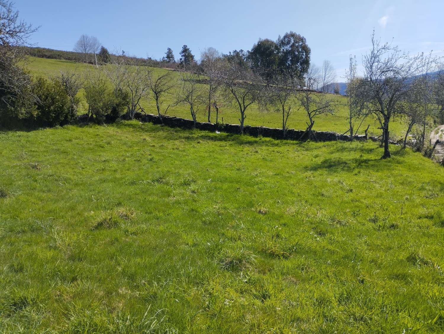 En venta Gran gran casa con finca