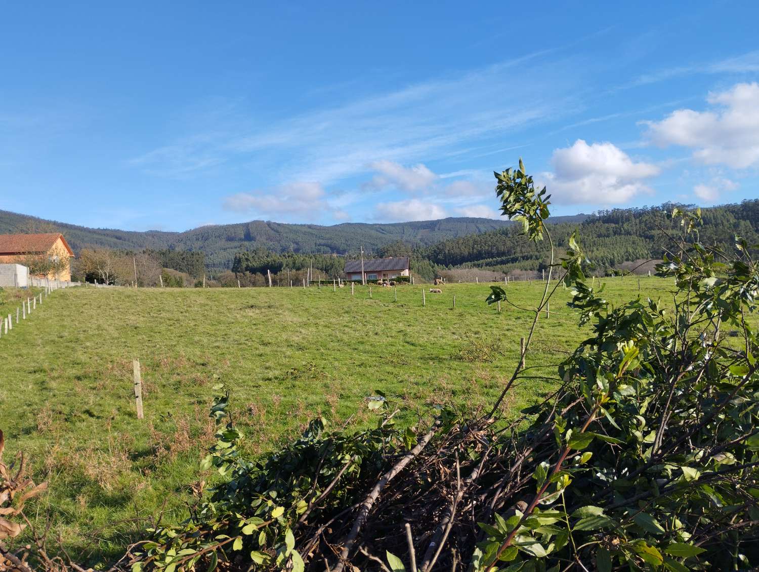En venta gran finca en San Román, Cedeira.
