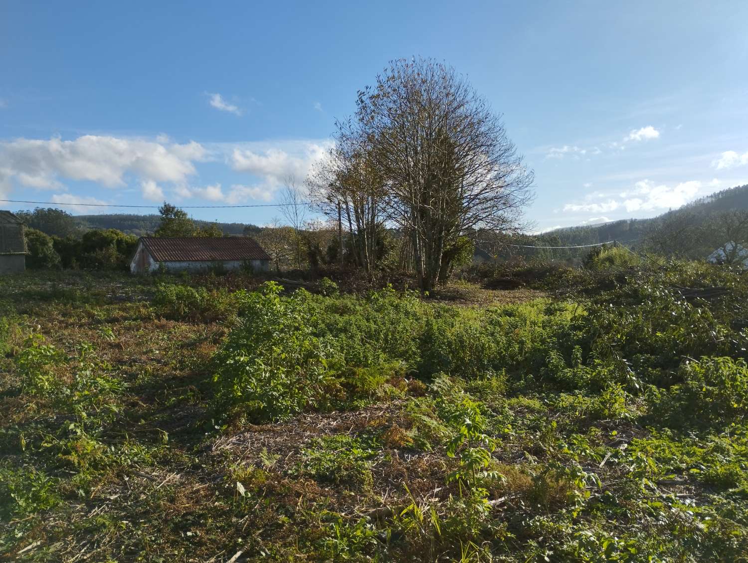 En venta gran finca en San Román, Cedeira.