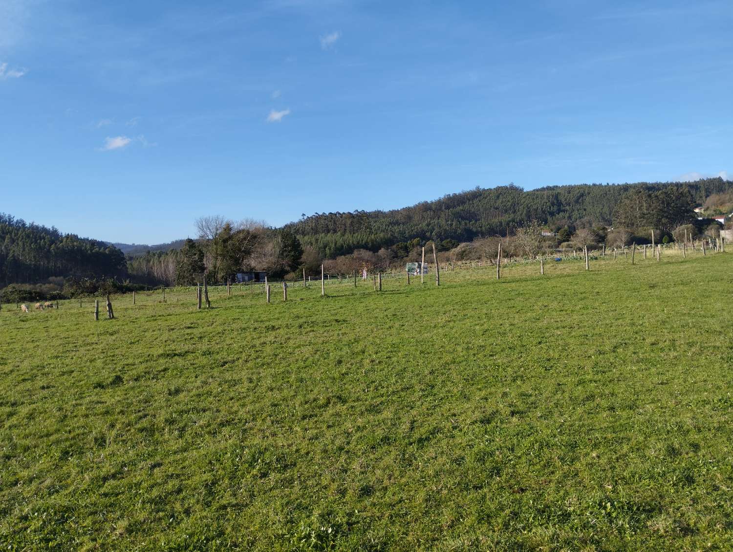 En venta gran finca en San Román, Cedeira.