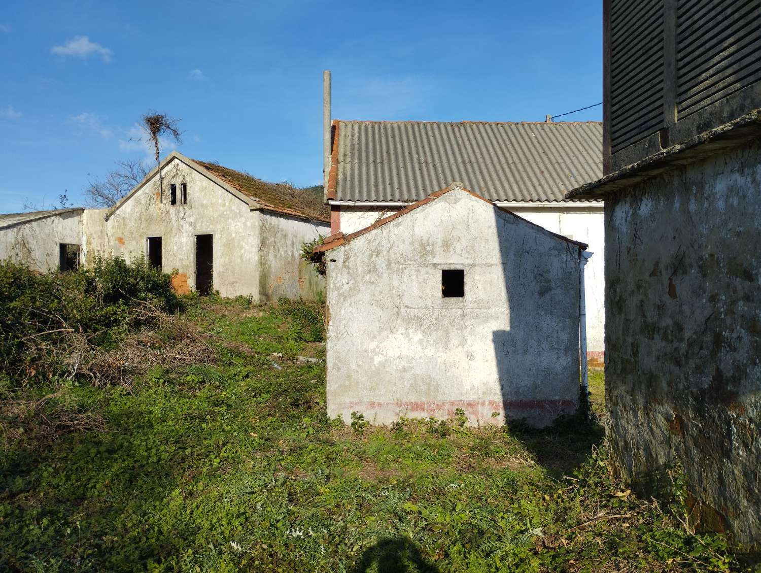 En venta gran finca en San Román, Cedeira.