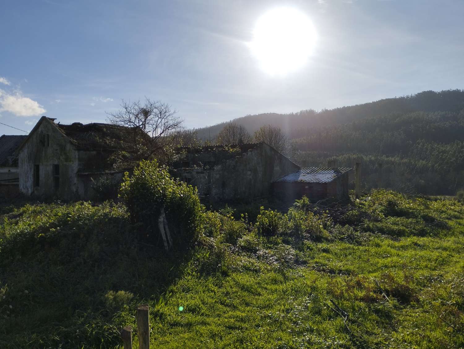 En venta gran finca en San Román, Cedeira.