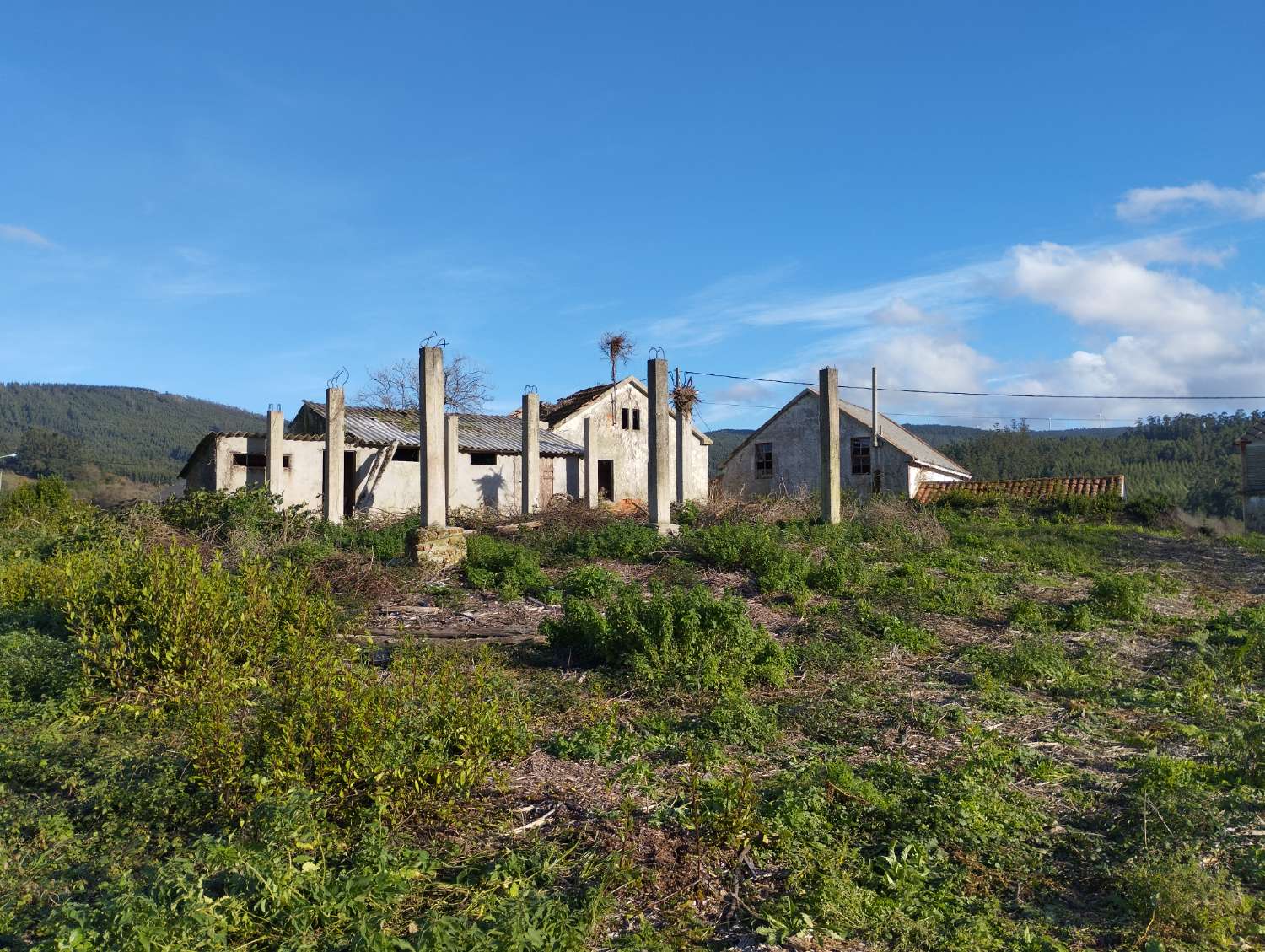 En venta gran finca en San Román, Cedeira.