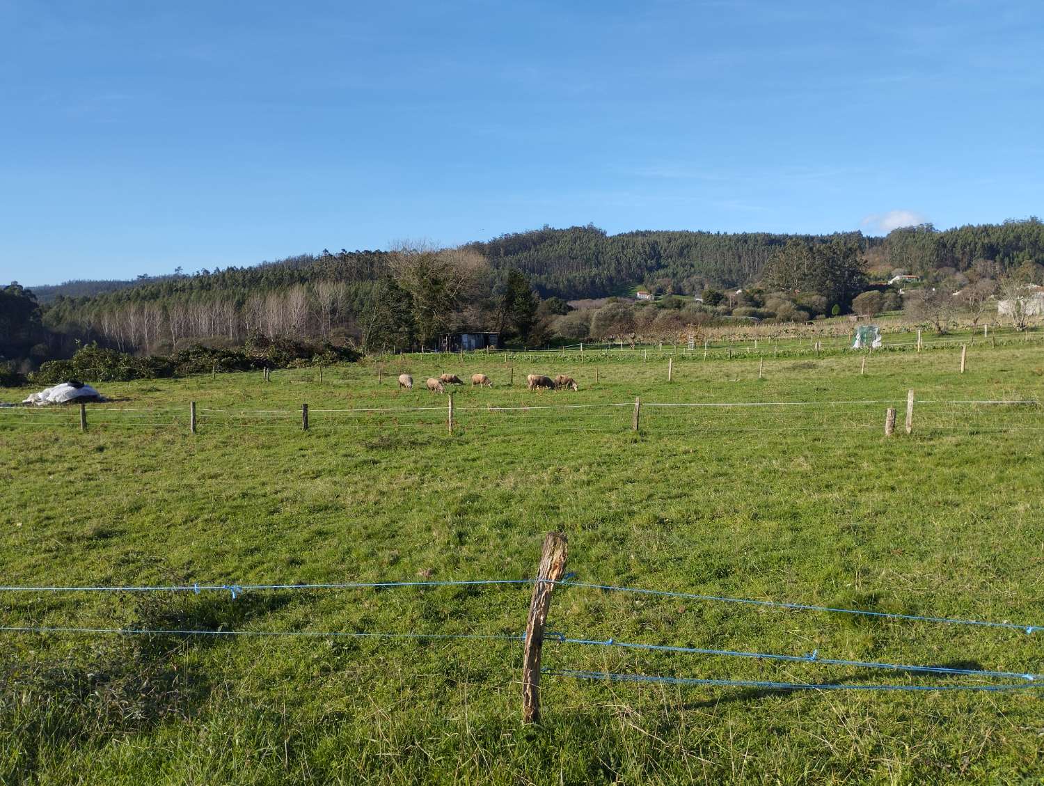 En venta gran finca en San Román, Cedeira.