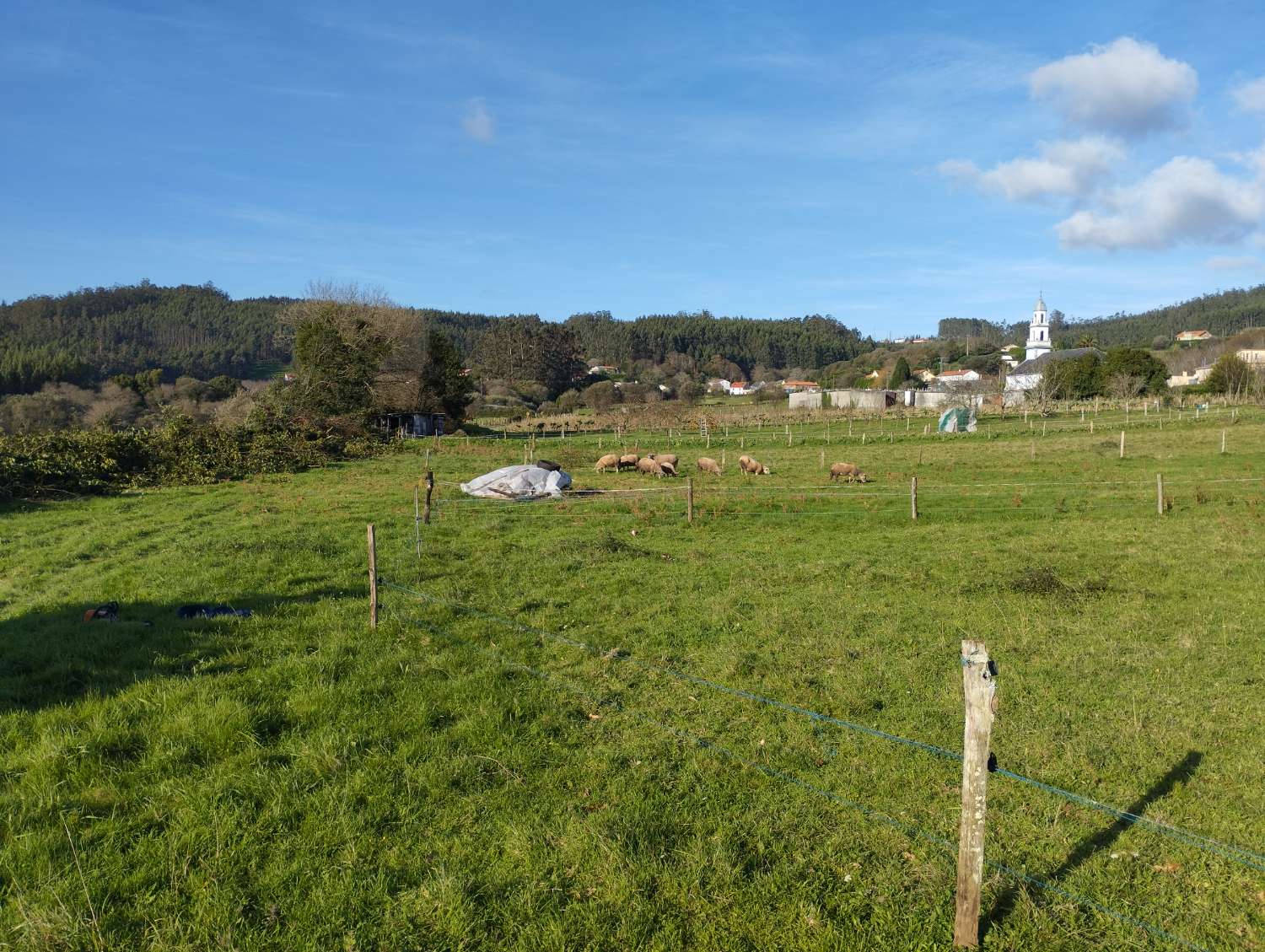 En venta gran finca en San Román, Cedeira.