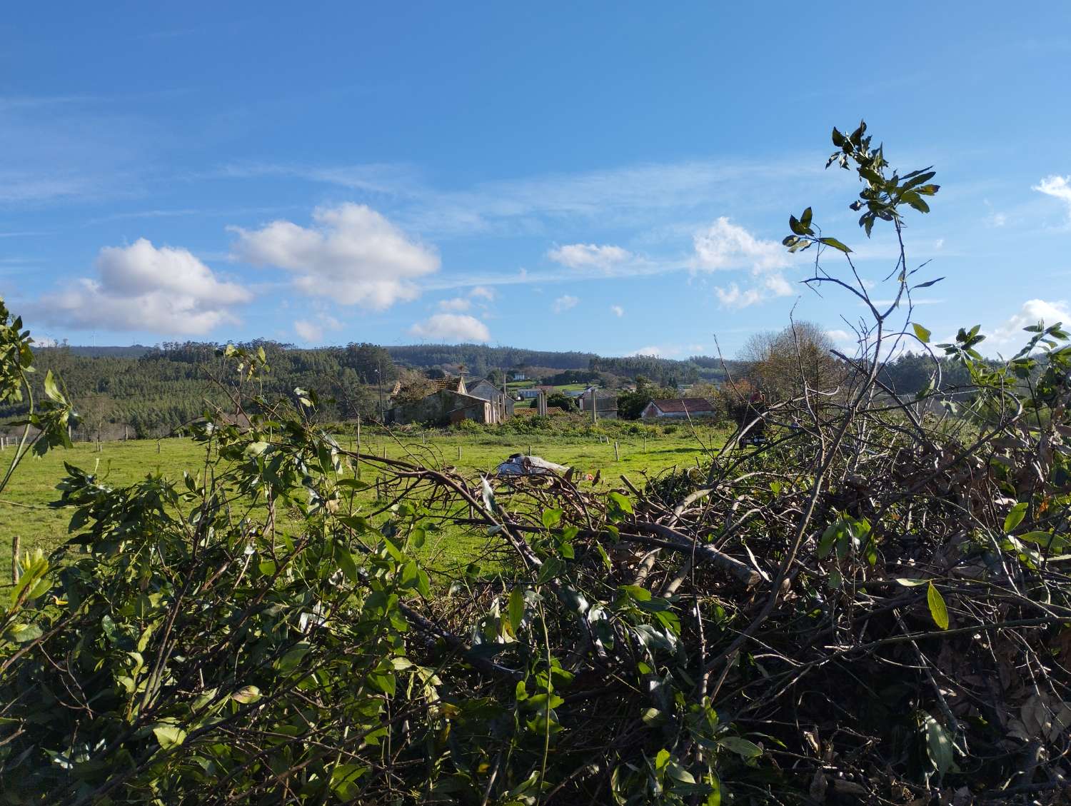 En venta gran finca en San Román, Cedeira.