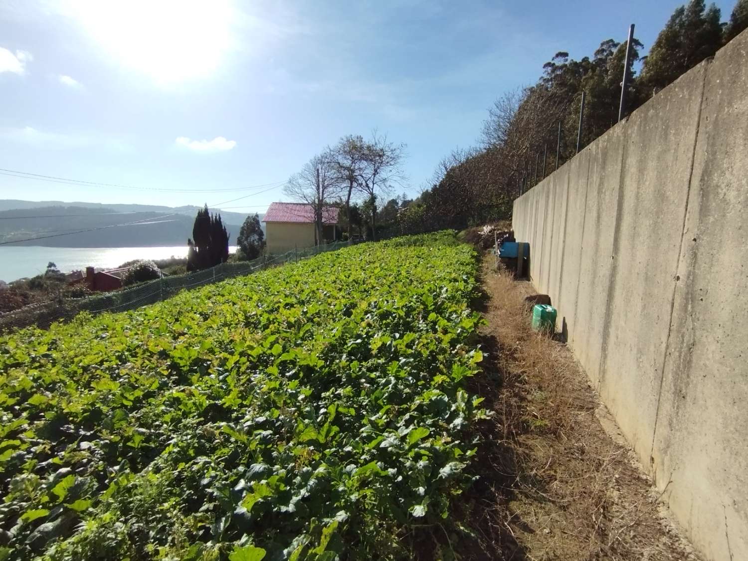 En venta finca con vistas en Cedeira.