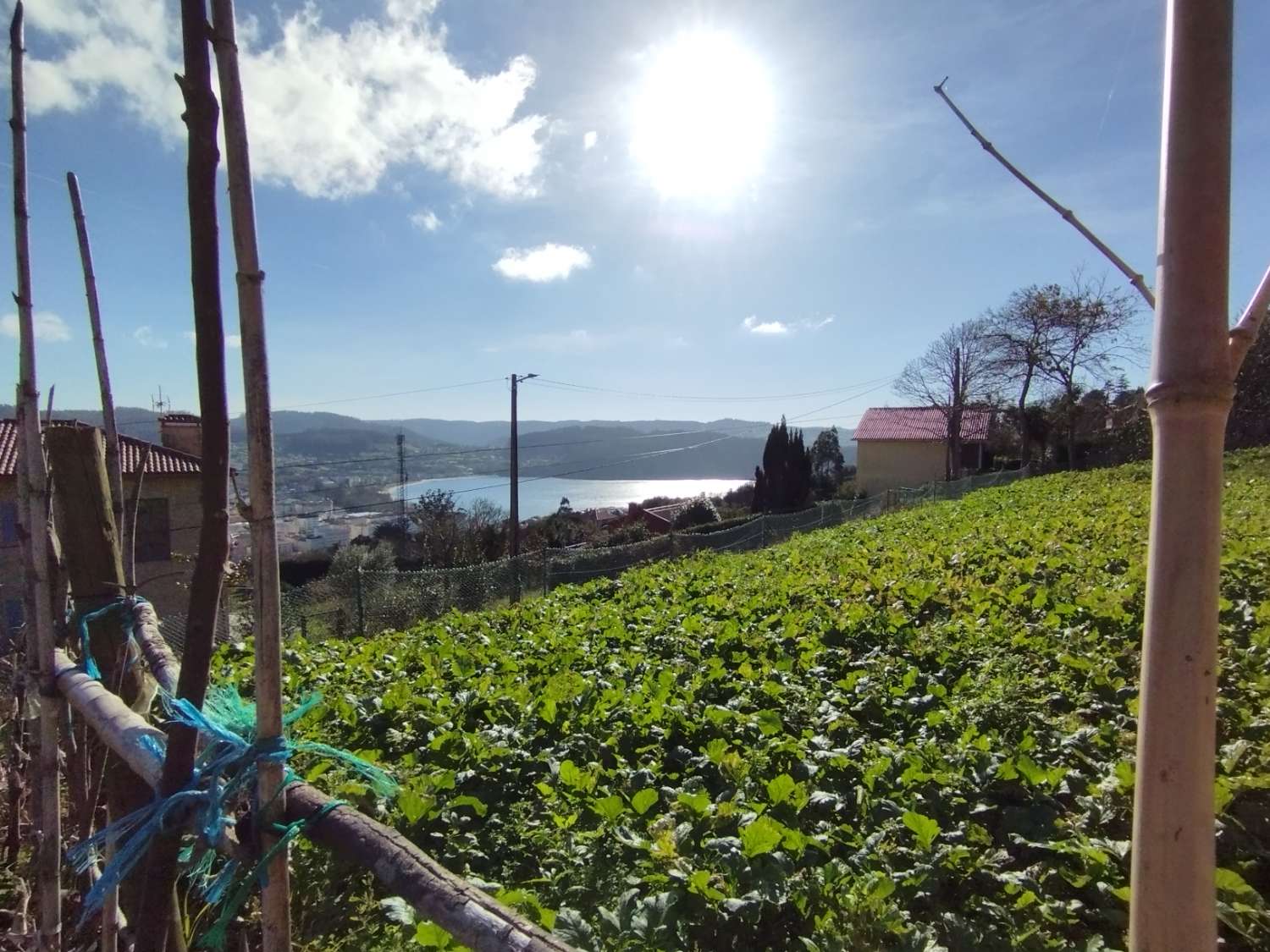 En venta finca con vistas en Cedeira.