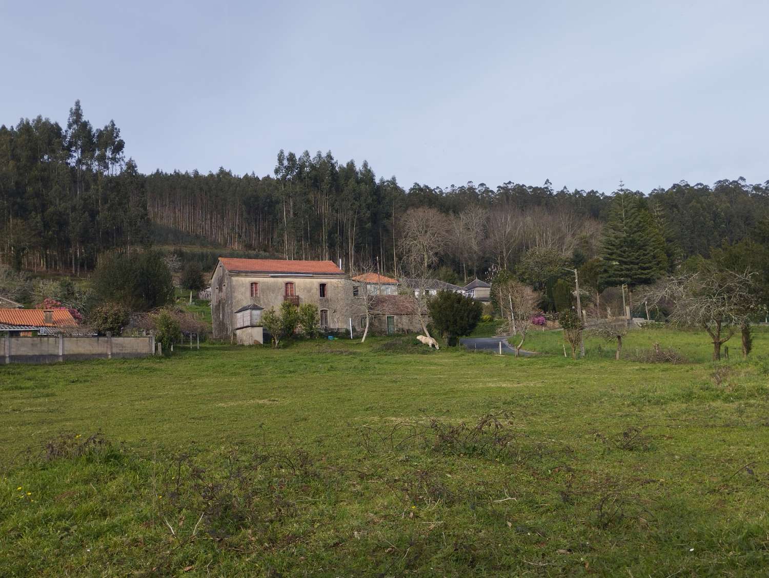 Casa in vendita a Cerdido