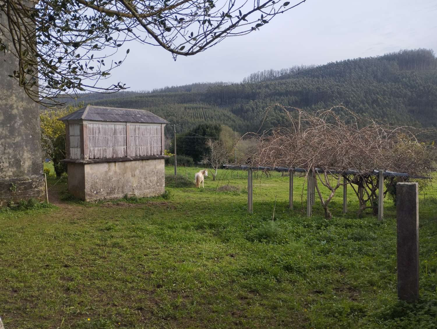 En venta casa para rehabilitar en Cerdido ( A Coruña).