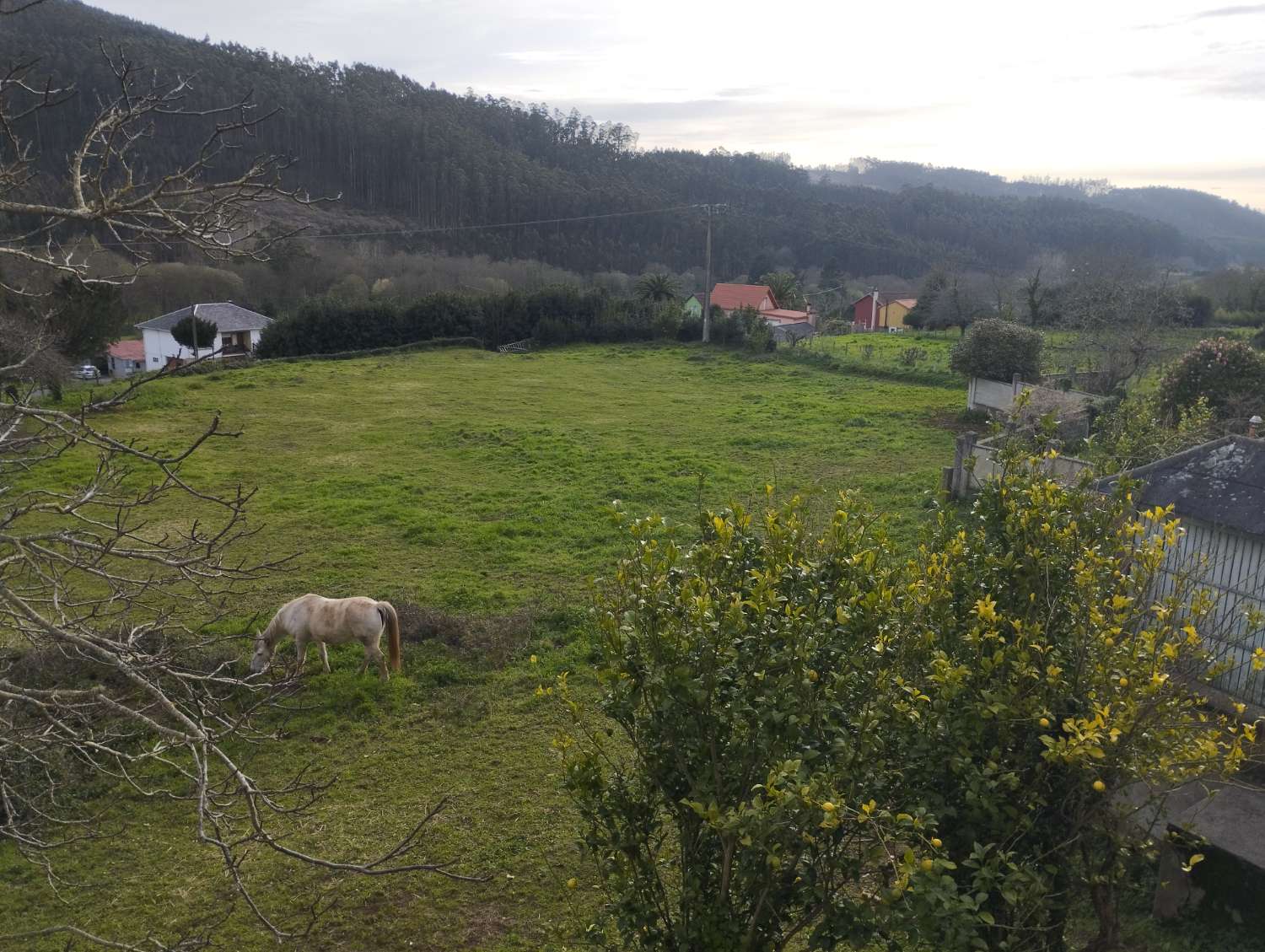 Maison en vente à Cerdido