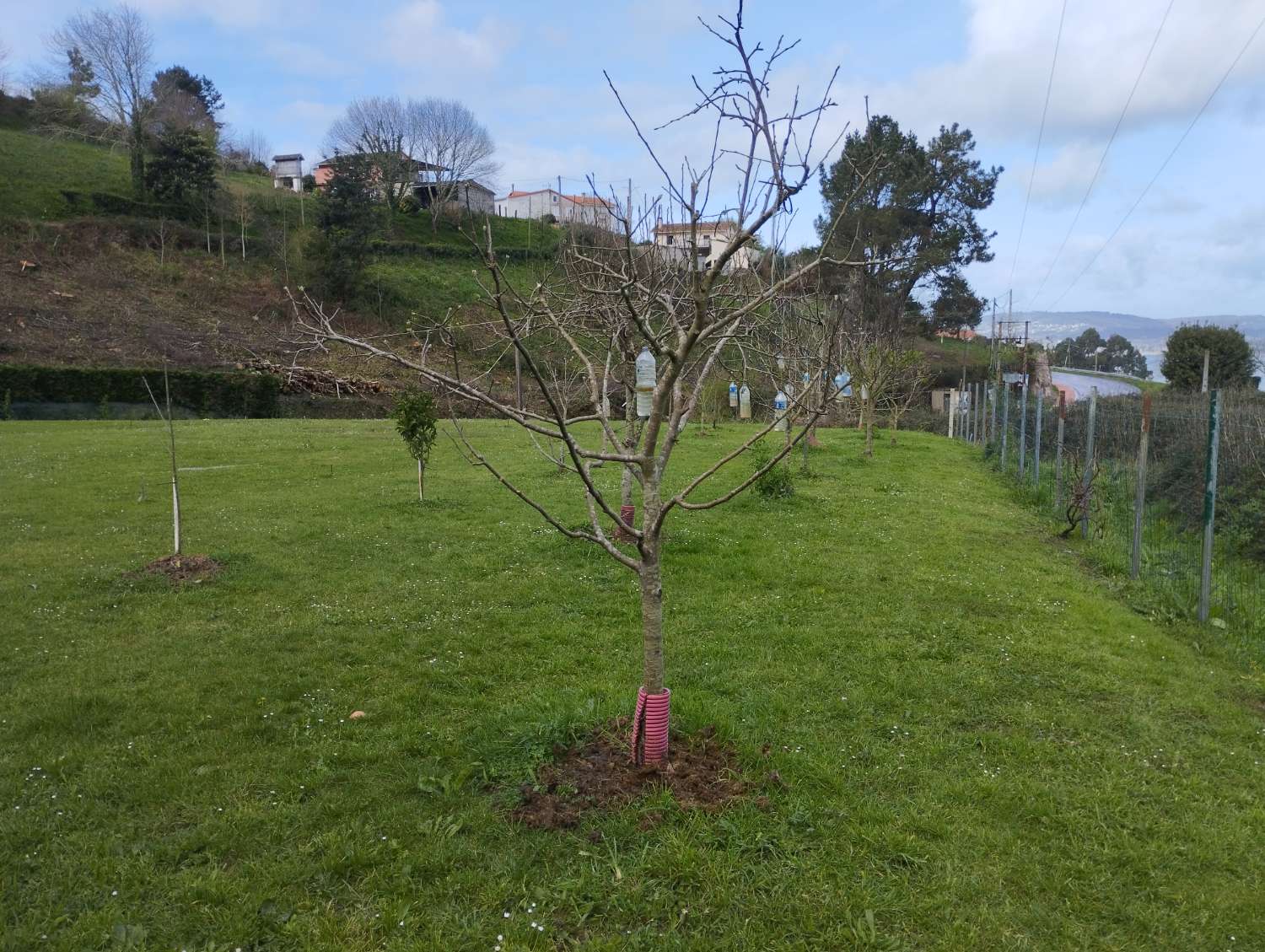 Solar en venta en Centroña, Pontedeume.