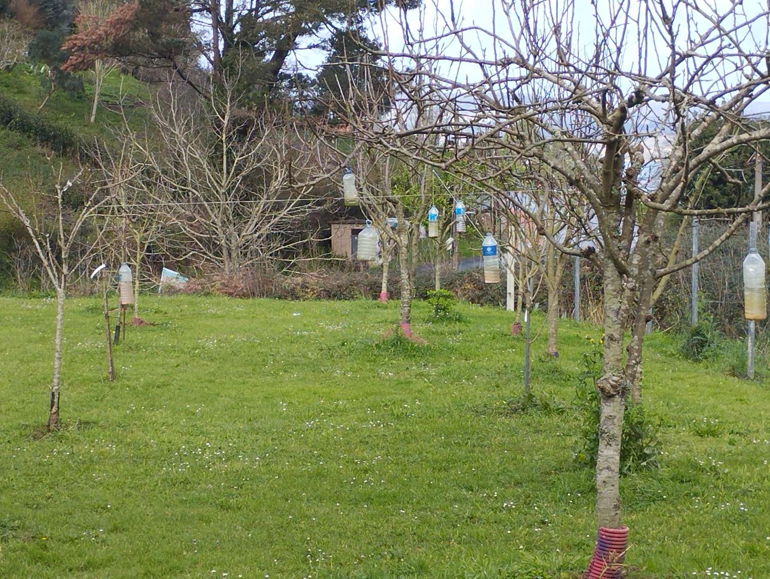 Solar en venta en Centroña, Pontedeume.