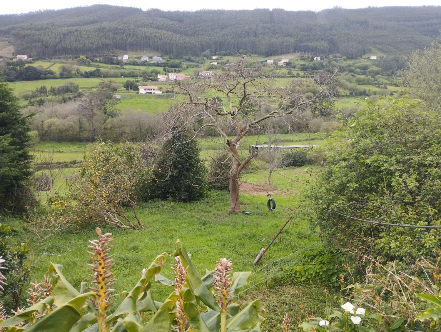 Casa para rehabilitar en Magoira, Cedeira.