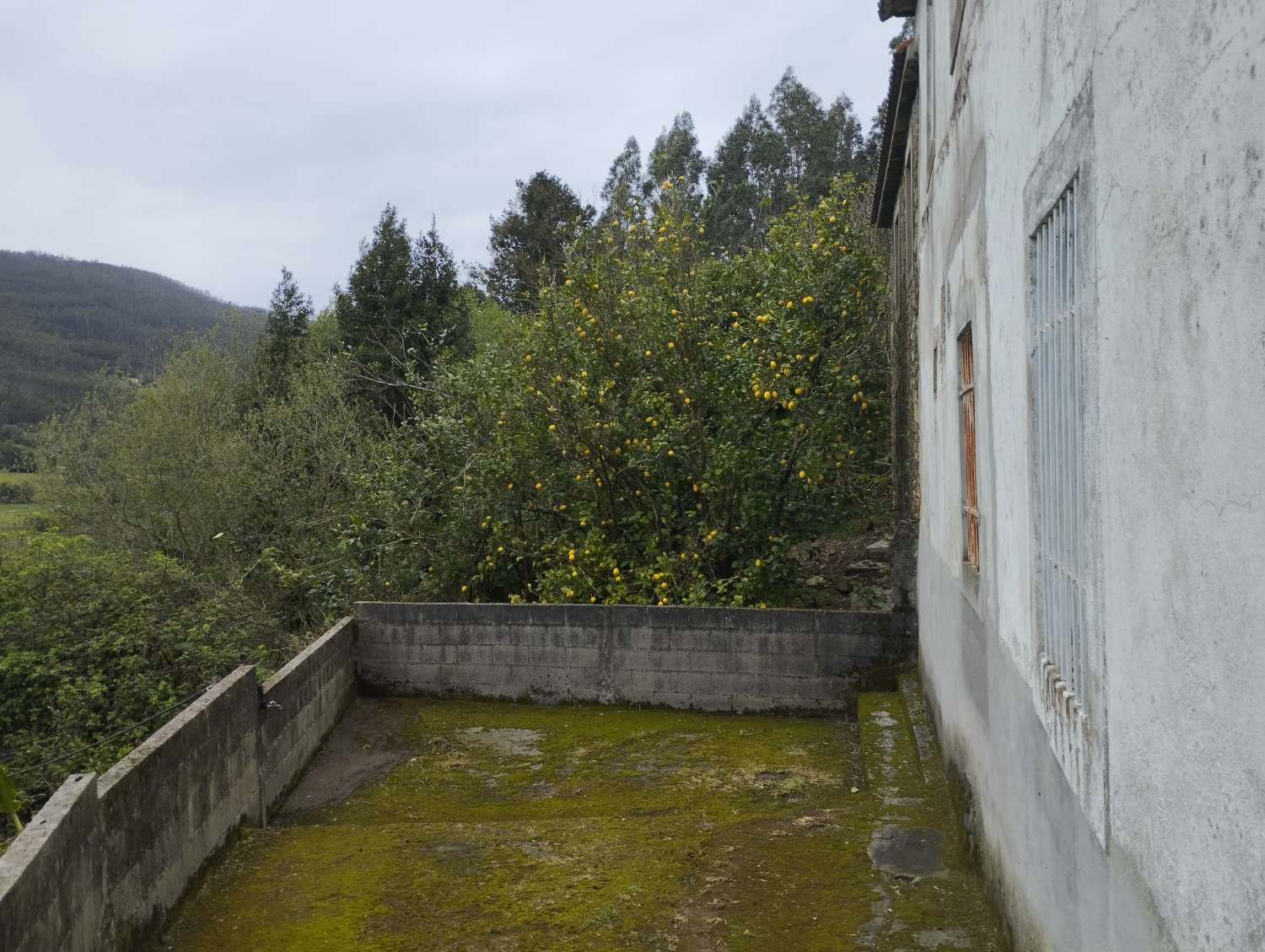 Casa para rehabilitar en Magoira, Cedeira.