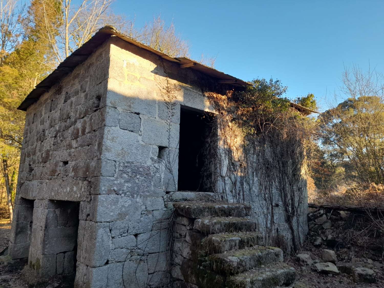 Gran finca con varias edificaciones para rehabilitar.