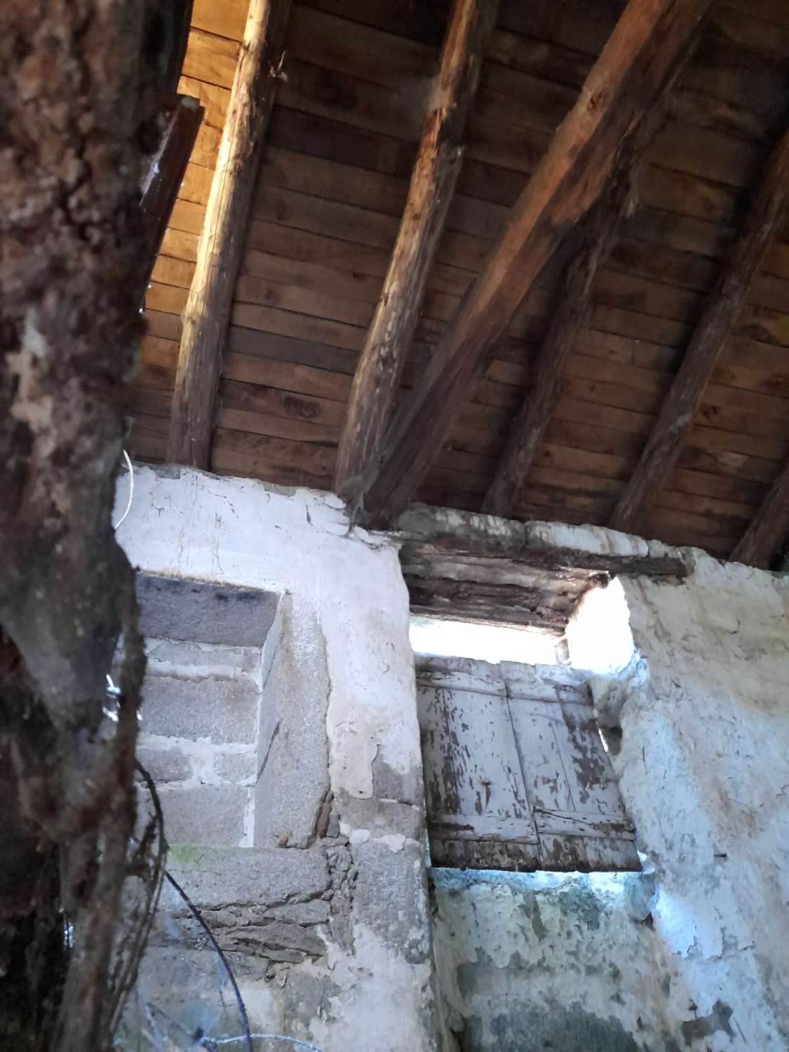 Gran finca con varias edificaciones para rehabilitar.