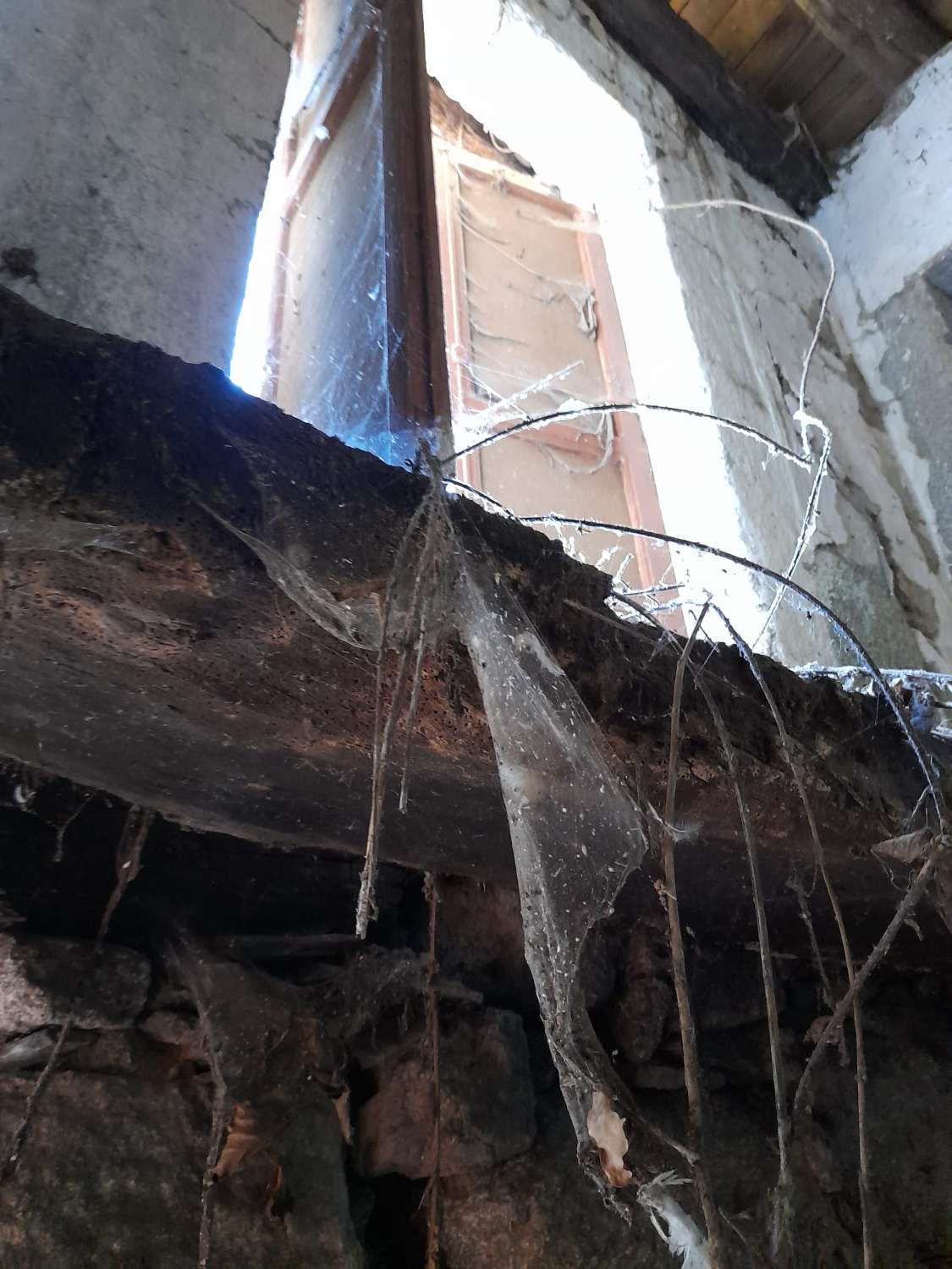 Gran finca con varias edificaciones para rehabilitar.