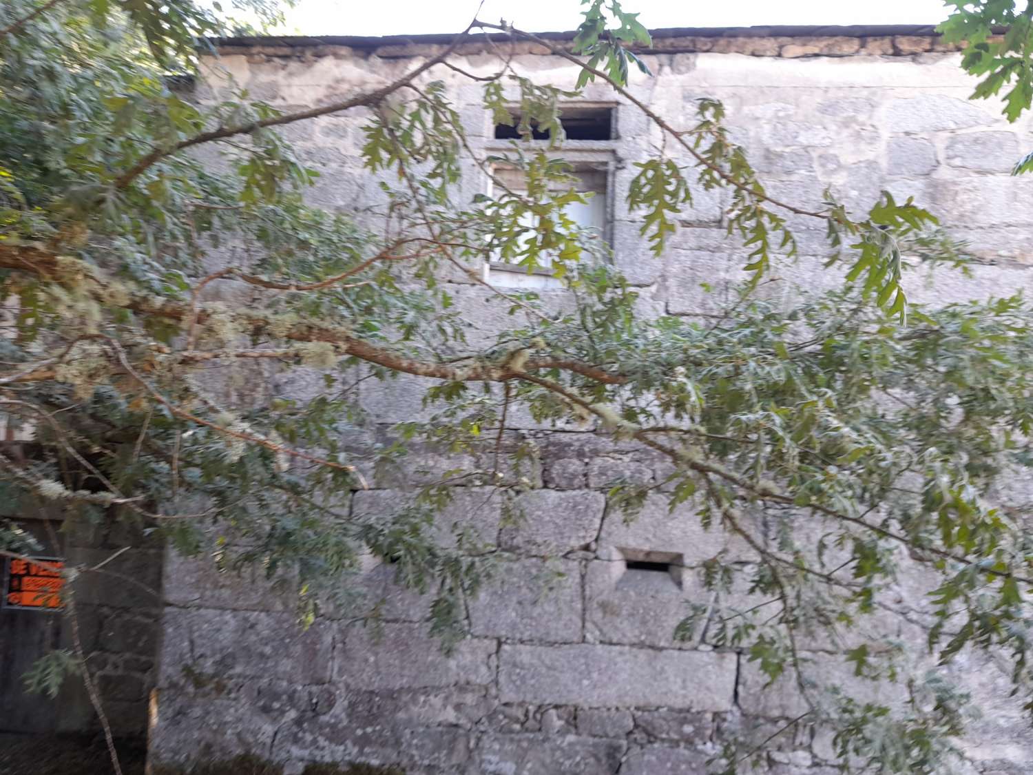 Gran finca con varias edificaciones para rehabilitar.
