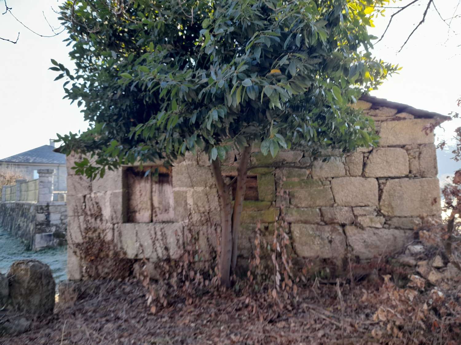 Gran finca con varias edificaciones para rehabilitar.
