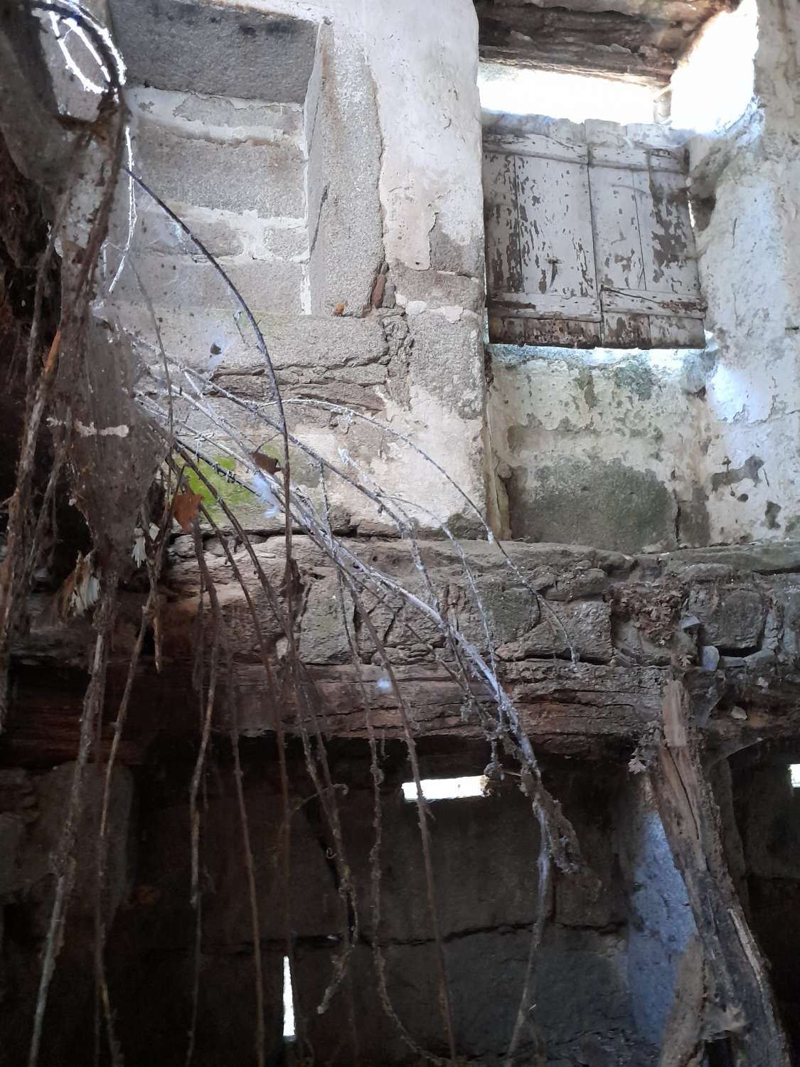 Gran finca con varias edificaciones para rehabilitar.