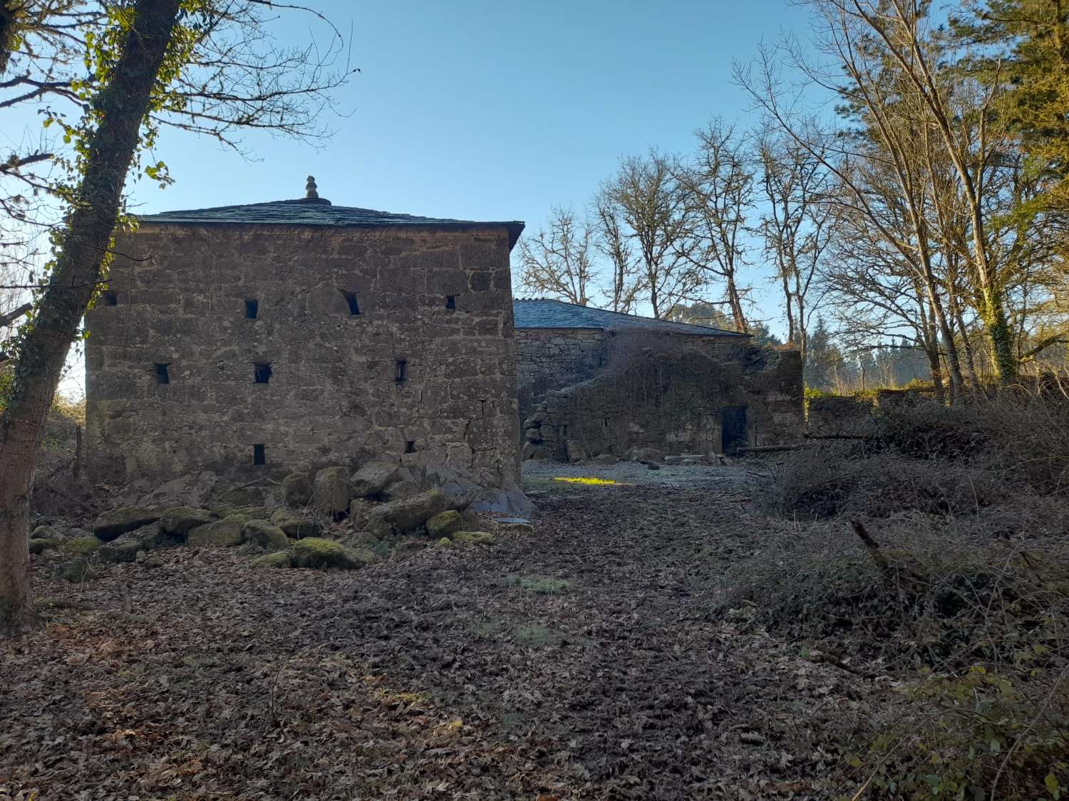 Gran finca con varias edificaciones para rehabilitar.