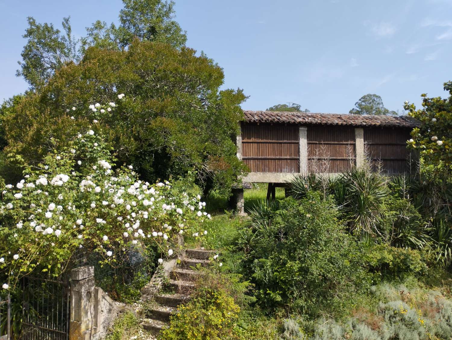En venta Gran Casa Solariega en Vedra.