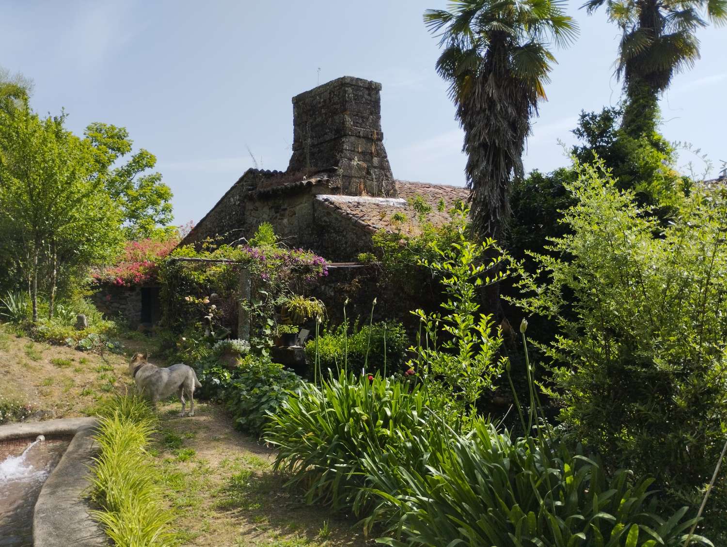 En venta Gran Casa Solariega en Vedra.