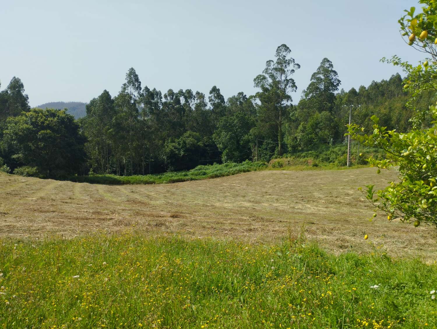 En venta casa con finca en Cerdido, A Coruña.