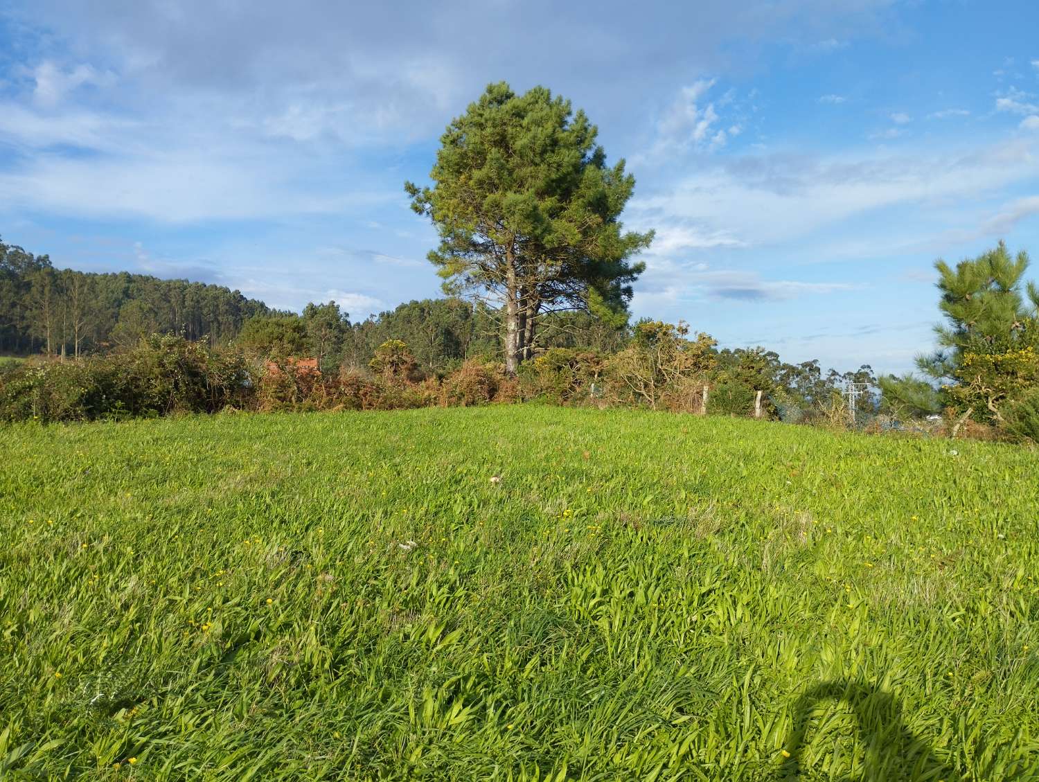 Casa en venta para rehabilitar en Montefaro, Valdoviño.