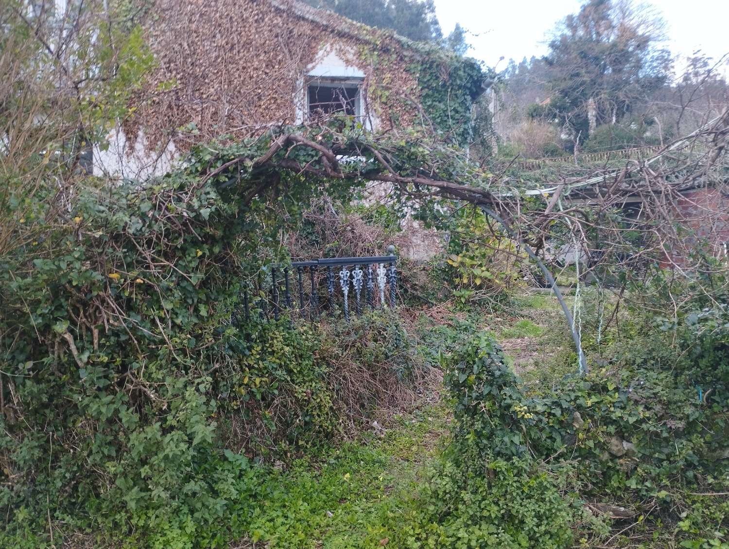 Casa en venta para rehabilitar en Cedeira.