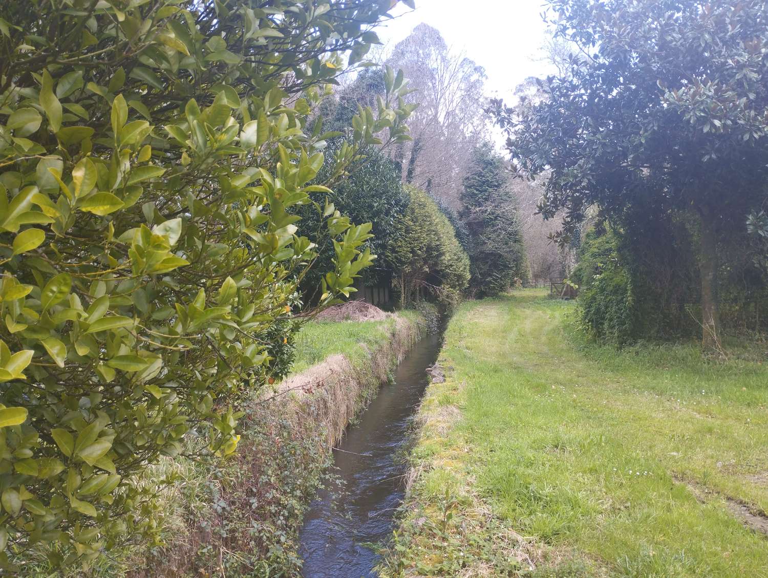 Gran casa molino en venta en Cerdido, A Coruña.