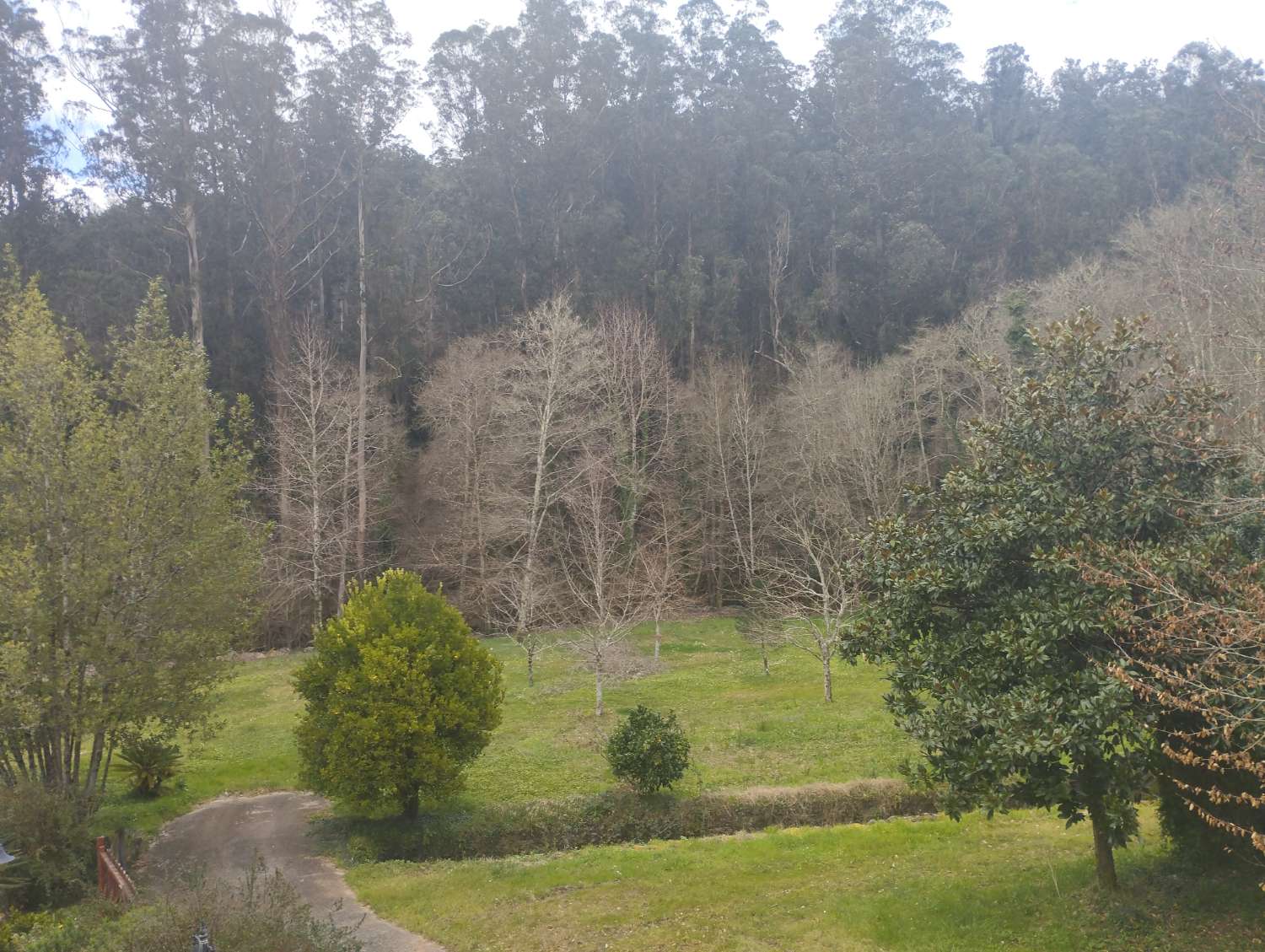Gran casa molino en venta en Cerdido, A Coruña.