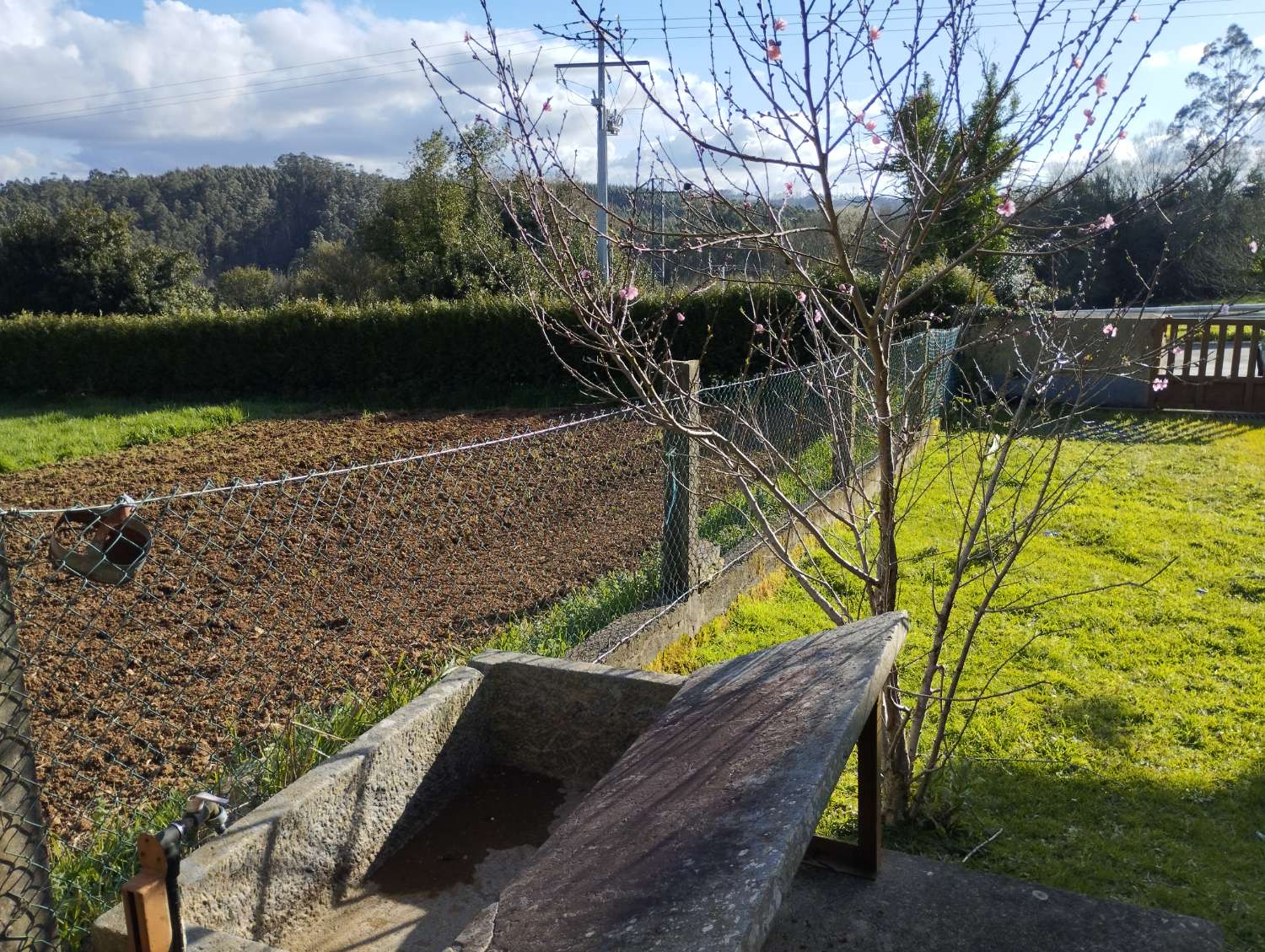 Woning te koop in Moeche