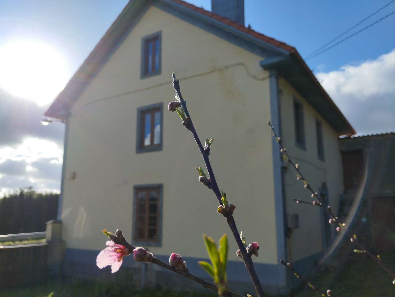 Woning te koop in Moeche