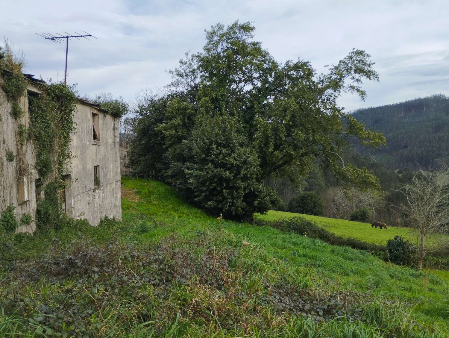 Casa para rehabilitar en Cerdido, A Coruña.