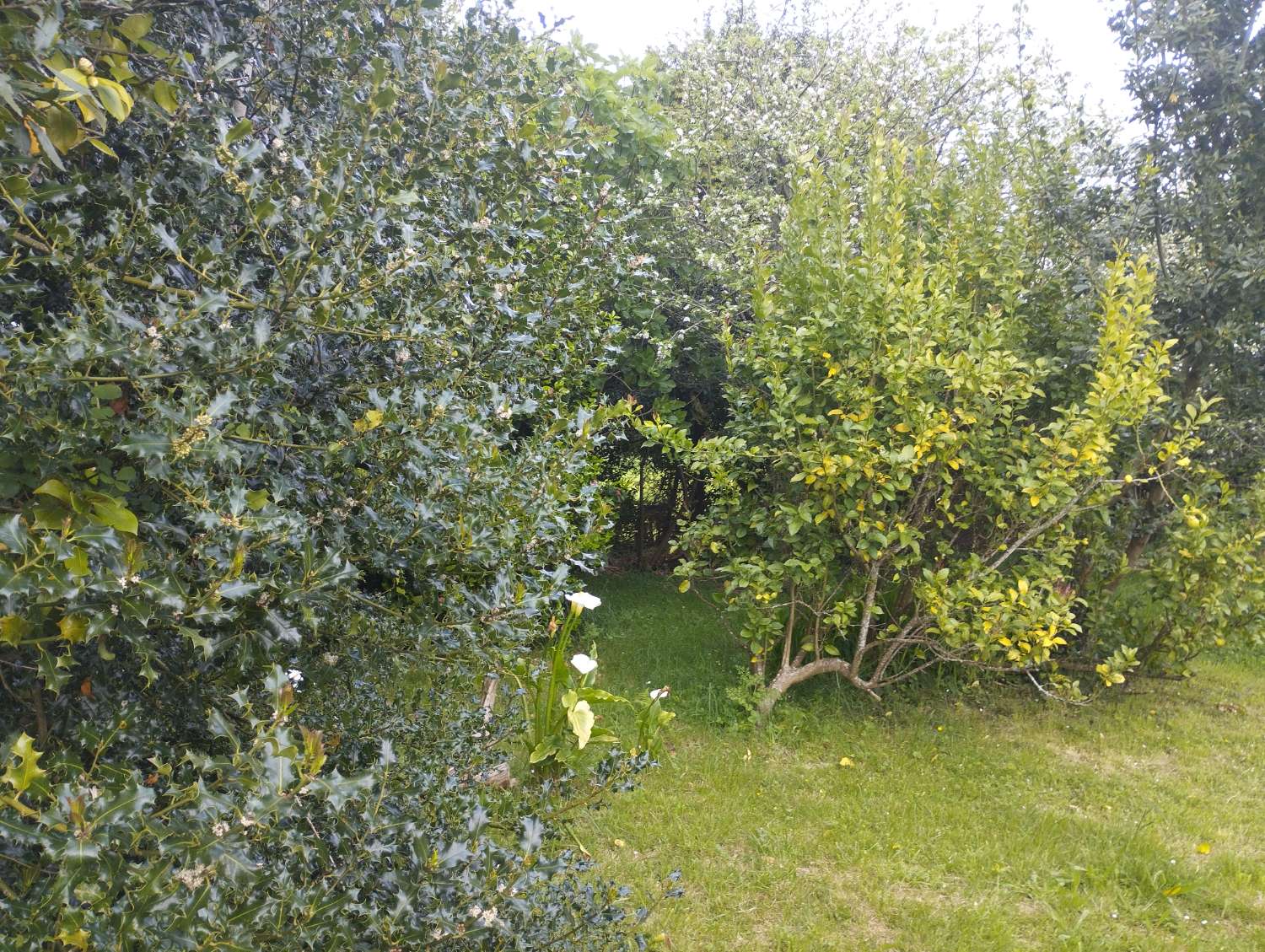 House for sale in San Sadurniño