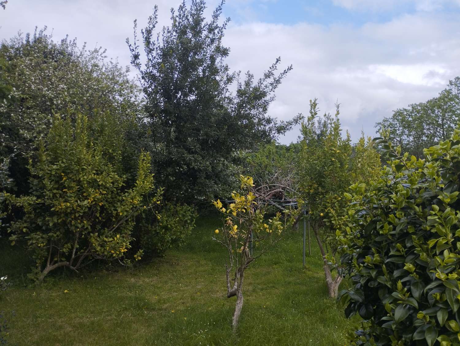 House for sale in San Sadurniño